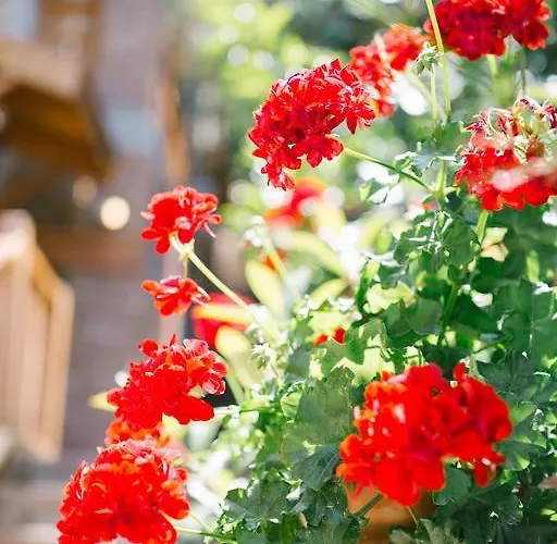 Hotel Karia Bel - Adult Only +12